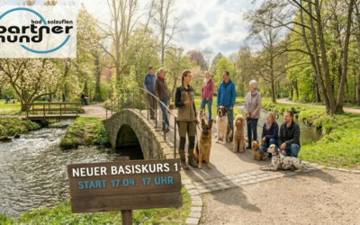 Neuer Basiskurs 1 startet in Kürze