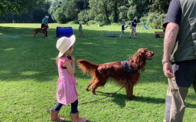 Ein tierischer Vormittag bei Partner Hund
