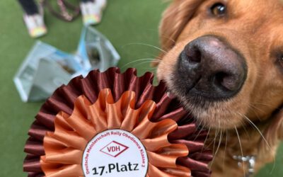 Gelungene Teilnahme unseres Teams an der 1. VDH Deutschen Meisterschaft im Rally Obedience