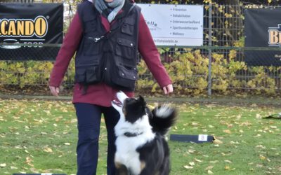Auf dem Weg zur LVM Rally Obedience: Sieben Mitglieder unseres Vereins Partner Hund Bad Salzuflen starten durch!